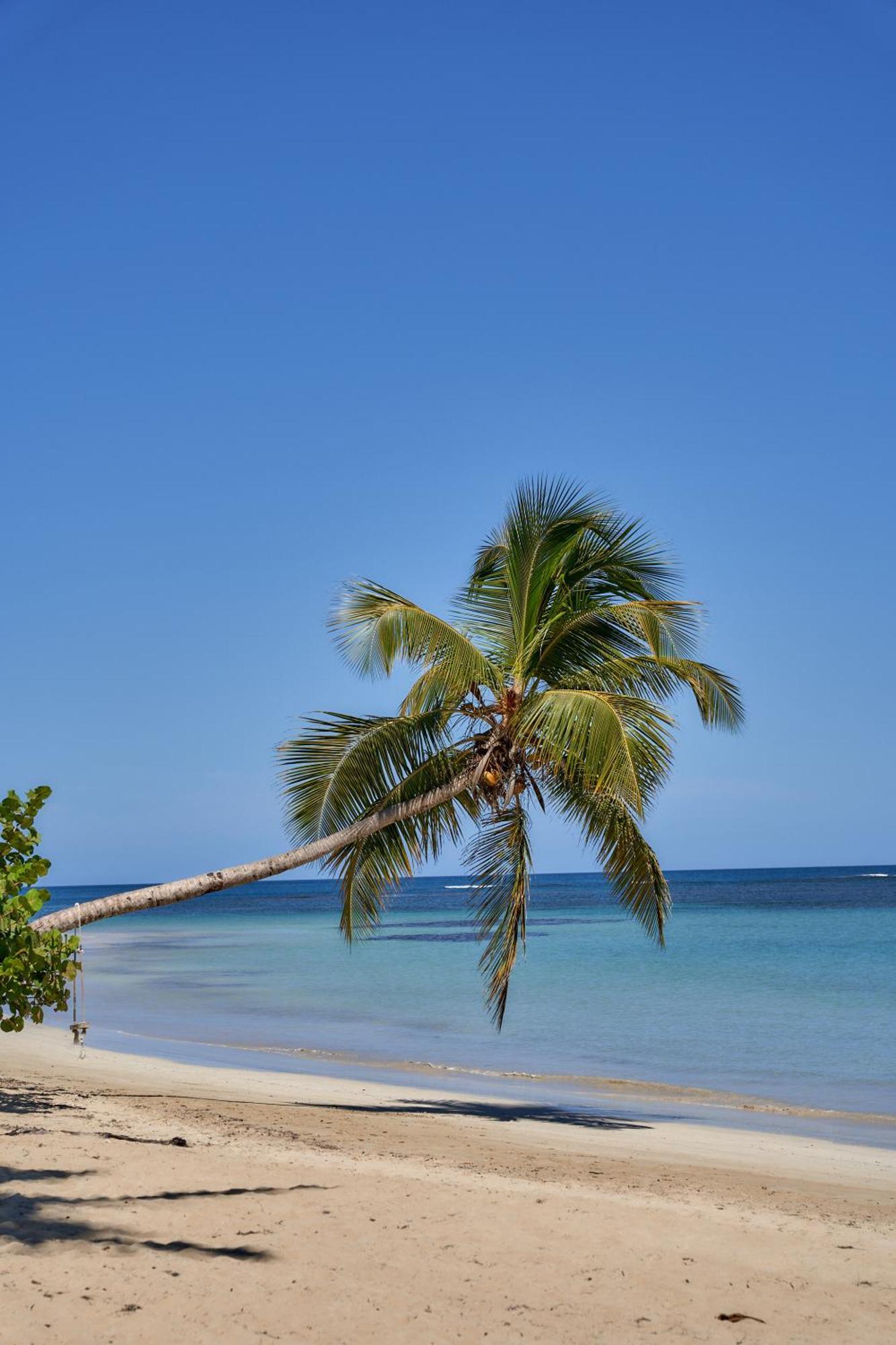 Empyrean Tropical Wellness Portillo Las Terrenas Ngoại thất bức ảnh